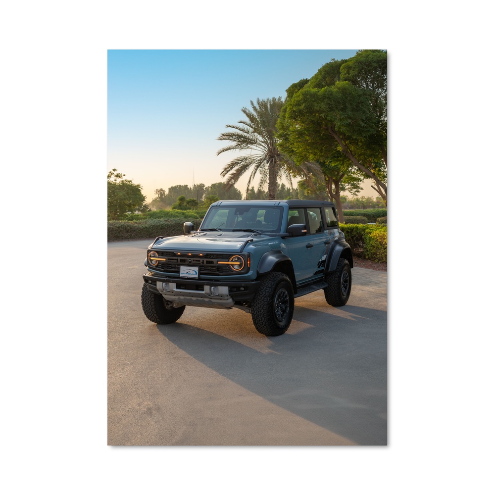 Poster Bronco en action